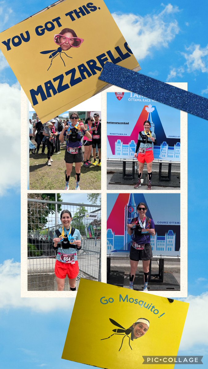 T. Zappavigna tweet media