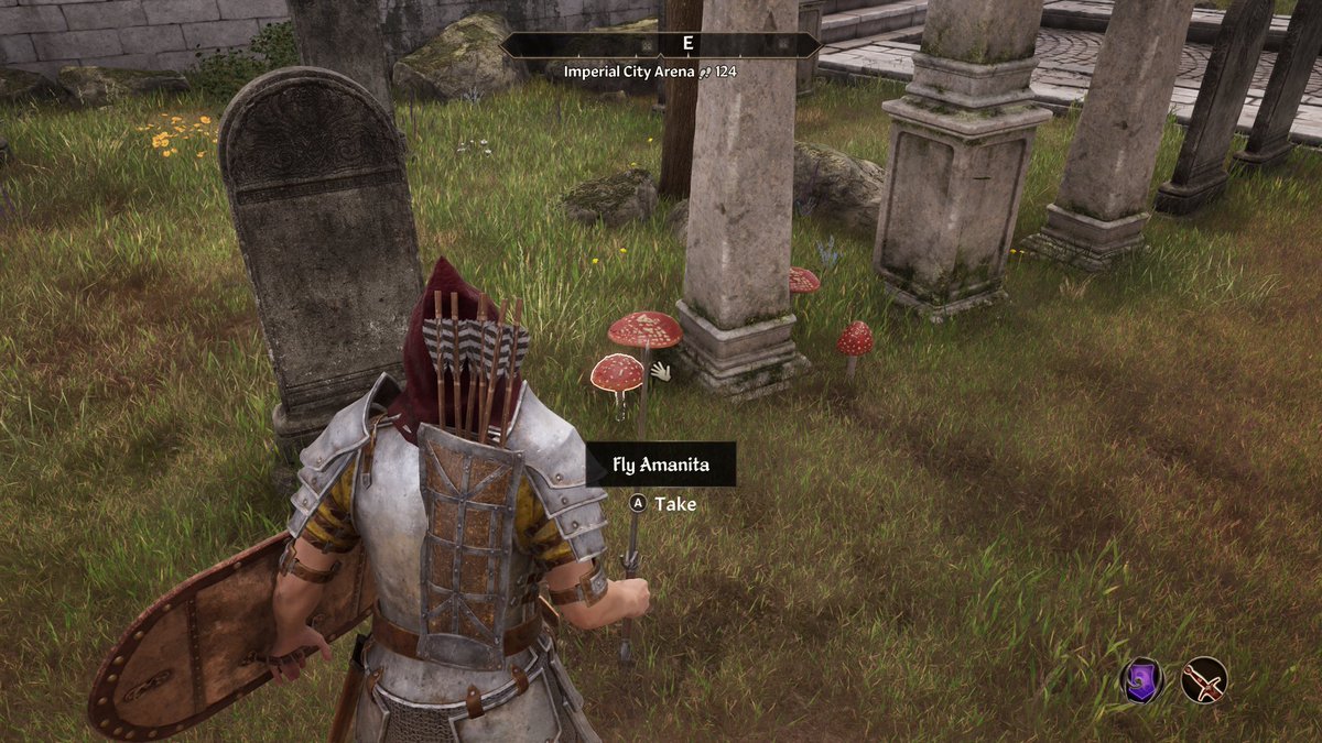 Danthrax07's tweet photo. First time playing #OblivionRemasterd , I like that I can make money picking 🍄🍄 out of the city graveyard and sell them to locals. It’s like I’m making money while feeding them their parents. https://t.co/jme33M0pQE