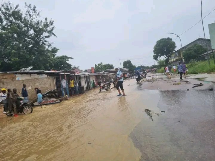 Linana Merlin (@linanamerlin) on Twitter photo Même la route TP a été affectée par les débordements d’eaux de pluie de ce Dimanche 25/05/ . La ville de KISANGANI devient de plus en plus préoccupante.
<a href="/VitalKamerhe1/">Vital Kamerhe</a> <a href="/RemyBongungu/">Rémy Bongungu</a> <a href="/AudreyBombolo/">Bombolo Audrey</a> <a href="/inzana_vicky/">Vicky-Fernando INZANA</a> <a href="/Ombilingo01/">Bijoux Ombilingo</a> Même la route TP a été affectée par les débordements d’eaux de pluie de ce Dimanche 25/05/ . La ville de KISANGANI devient de plus en plus préoccupante.
<a href="/VitalKamerhe1/">Vital Kamerhe</a> <a href="/RemyBongungu/">Rémy Bongungu</a> <a href="/AudreyBombolo/">Bombolo Audrey</a> <a href="/inzana_vicky/">Vicky-Fernando INZANA</a> <a href="/Ombilingo01/">Bijoux Ombilingo</a>