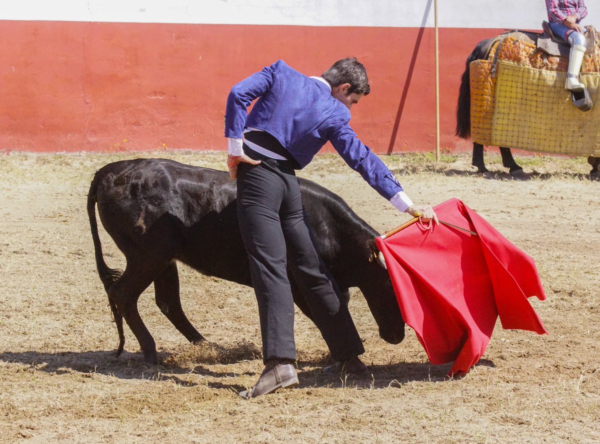 Otro año más contamos con los alumnos de <a href="/CITAR_Escuela/">CITAR | CART</a> para tentar en casa. Su director, el maestro Encabo, se animó alguna becerra. Los chavales demostraron afición, valor, técnica, esfuerzo y torería. Ejemplo de que la tauromaquia es universal e ilusiona a la juventud. Suerte!