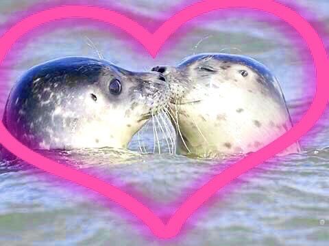 mistapussy's tweet photo. love conquers all https://t.co/7zMqCHpIYo