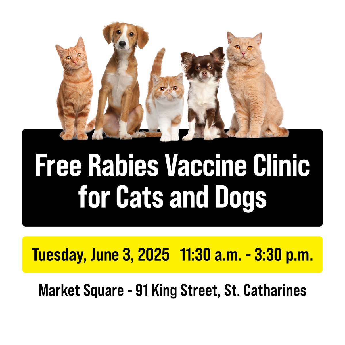 Free Rabies Vaccine Clinic for cats and dogs! 

Tuesday, June 3, 2025
11:30 a.m. - 3:30 p.m. 
Market Square, 91 King Street, St. Catharines

No appointment needed. Parking available. While supplies last.
