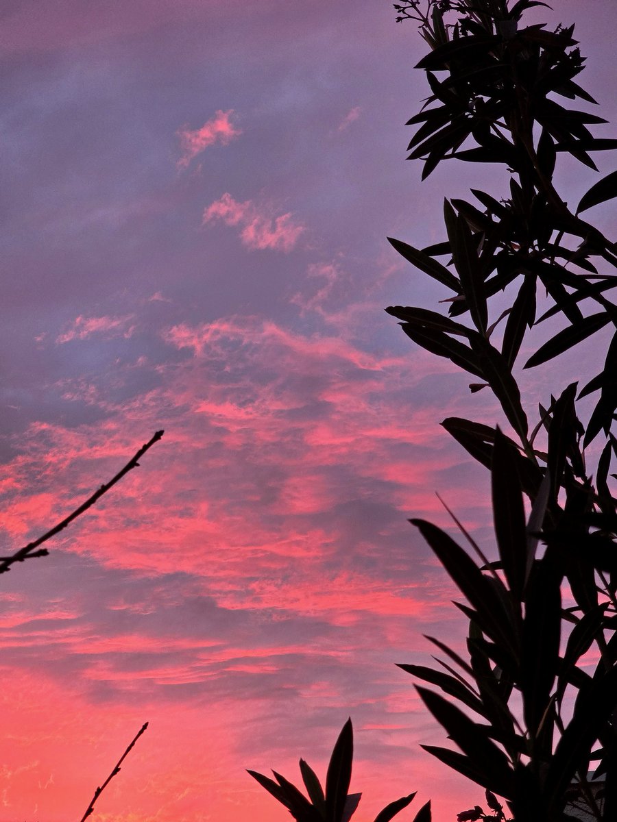 El último atardecer de la semana 🧡✨️