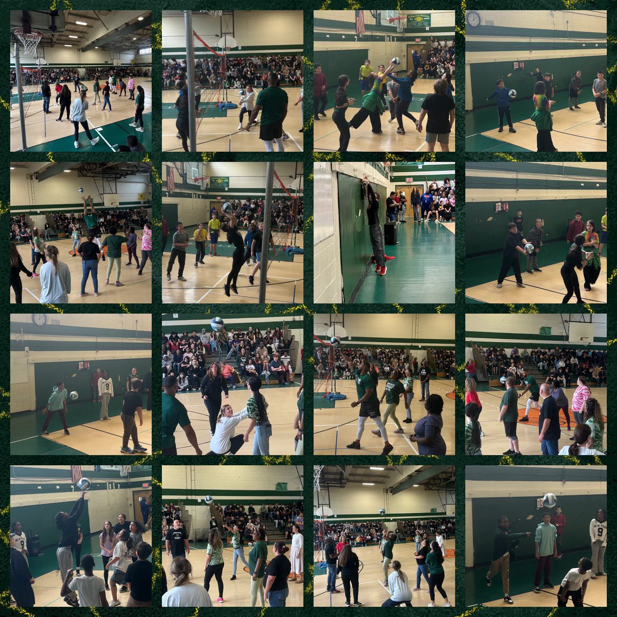 Ashley Walulak tweet media