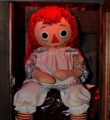 YSLONIKA's tweet photo. Annabelle spotted for the first time after her escape ! https://t.co/vtRb2EIROC