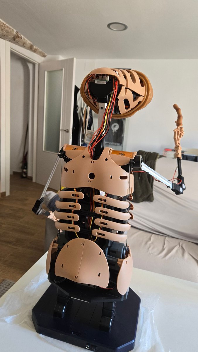 Victor_E_T's tweet photo. Pues ahora si que esta montado el envio 17 completo! Acabo de recibir las piezas 91 y 92 que me faltaban y ya esta montado! Ahora si ya esta todo el esqueleto montado! Queda genial 👽👽💚💚. #planetadeagostini #altaya #fanhome https://t.co/QpBeS2zVBI