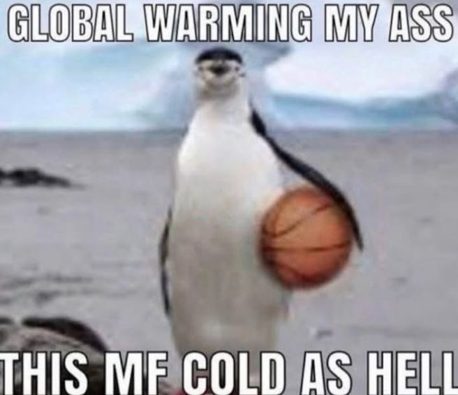 hourly_shitpost's tweet photo. https://t.co/B7kINOAe1E