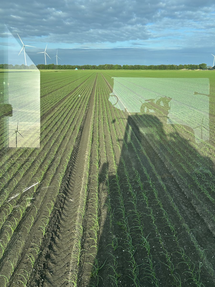 Leo Sturm tweet media