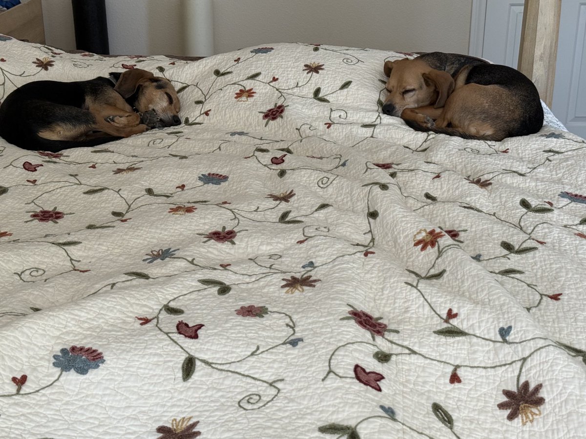 Bookends