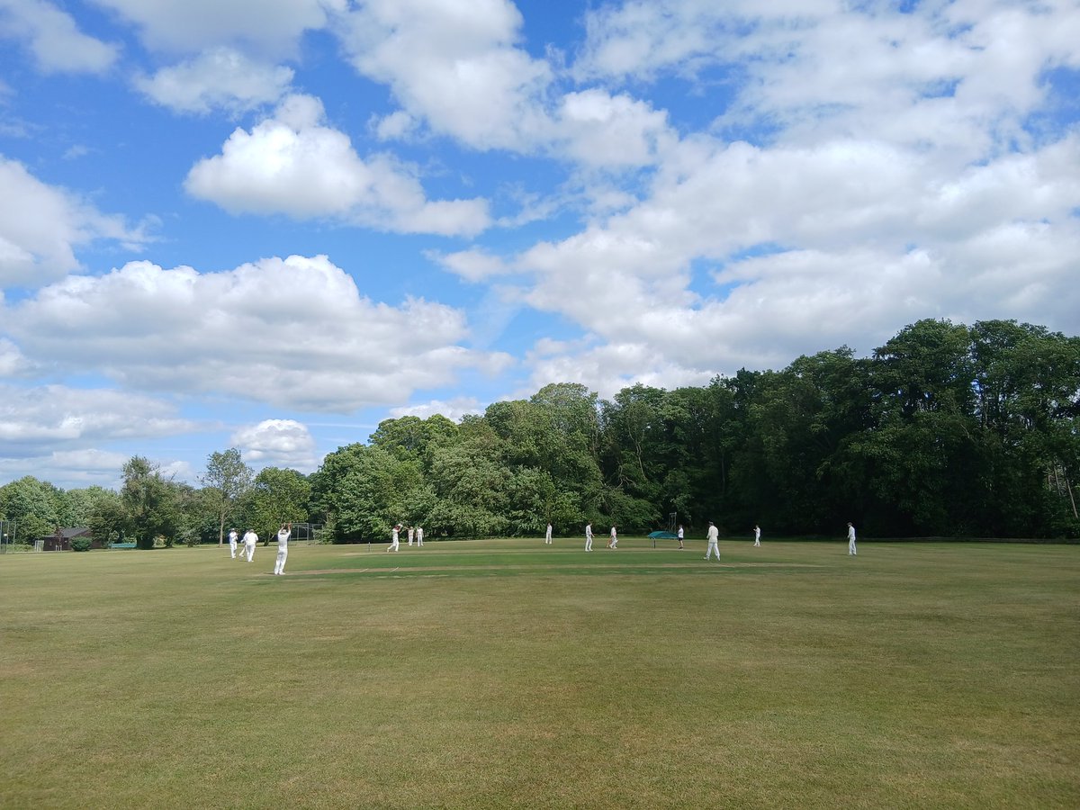 Nicholas Hogg (@nicholas_hogg) on Twitter photo Big daisies (presume they have another, correct name) and an <a href="/AuthorsCC/">The Authors CC</a> win against the Bodleian Library CC at Great Tew. Big daisies (presume they have another, correct name) and an <a href="/AuthorsCC/">The Authors CC</a> win against the Bodleian Library CC at Great Tew.