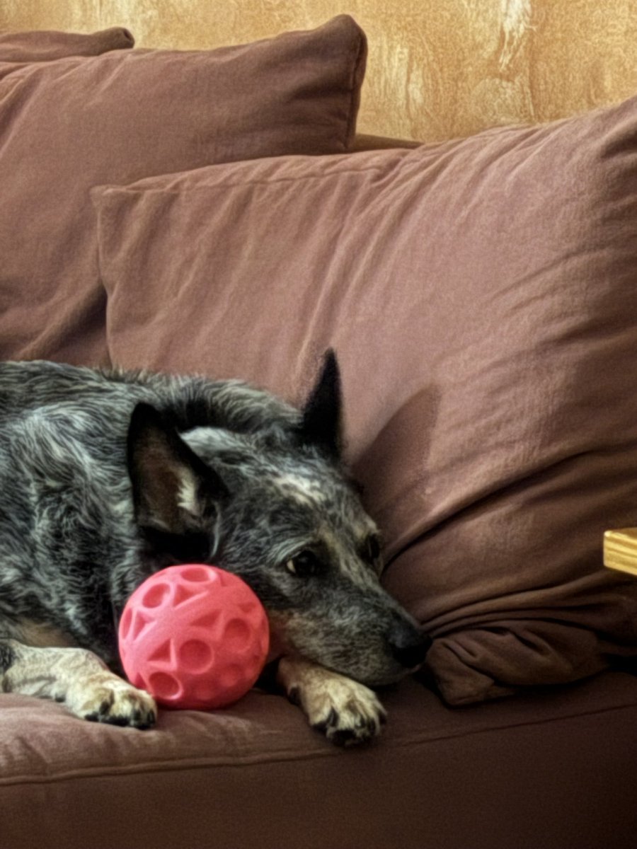 Raparigou ou não raparigou? tweet media