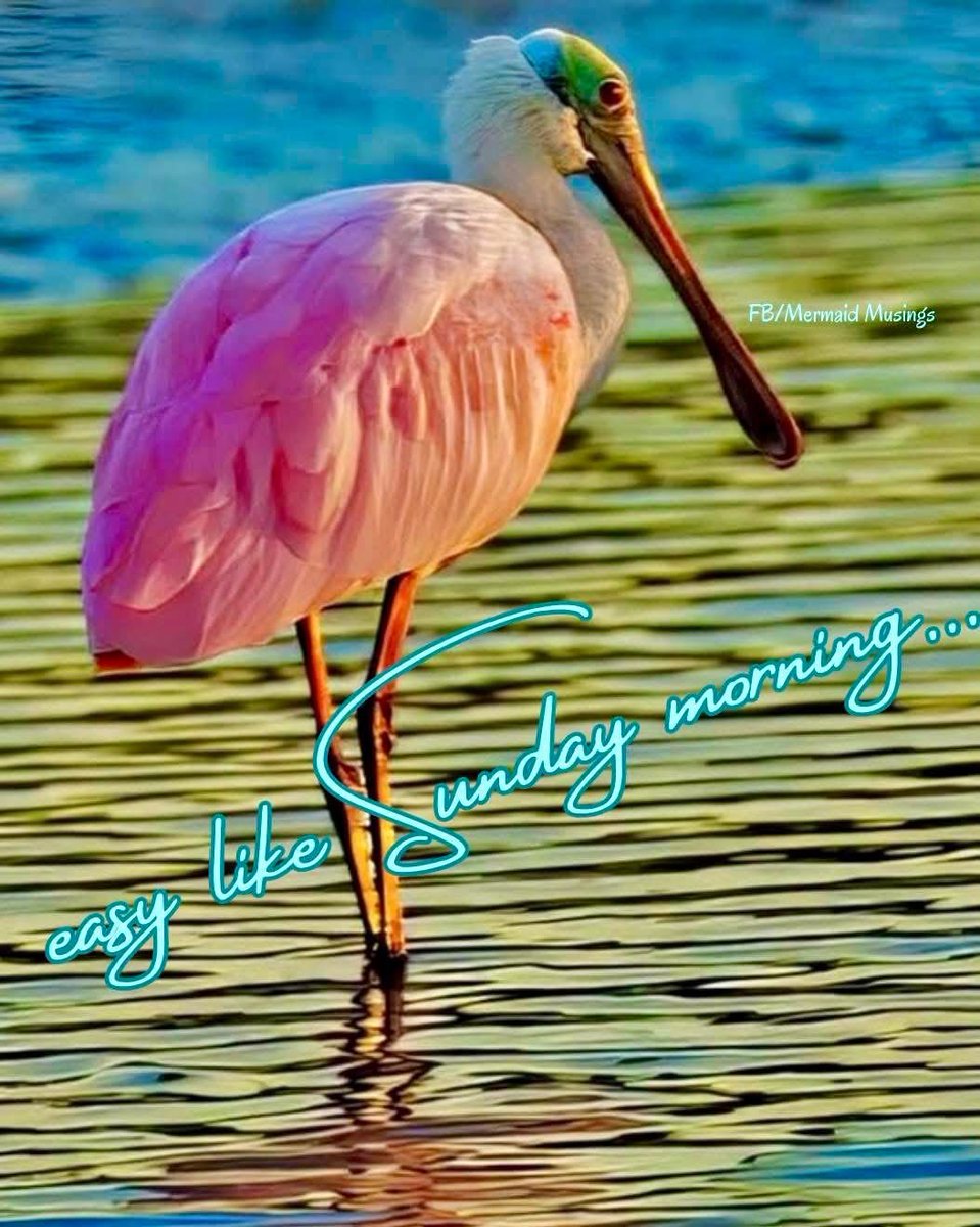 Happy Sunday friends! Have a great day.