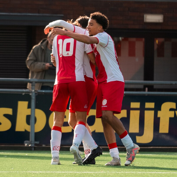 IJsselmeervogels tweet media