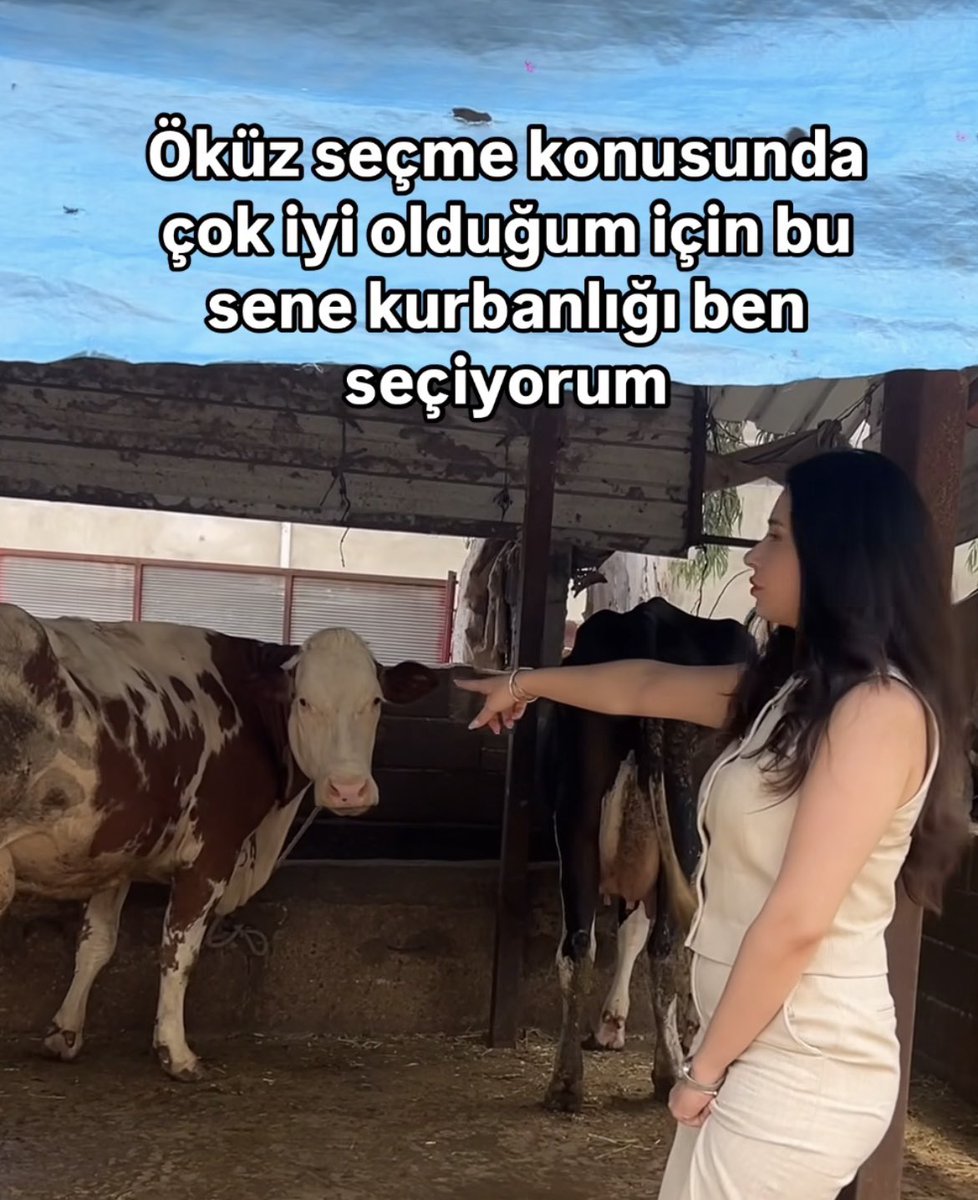 Doğa (@bizbitikya) on Twitter photo 