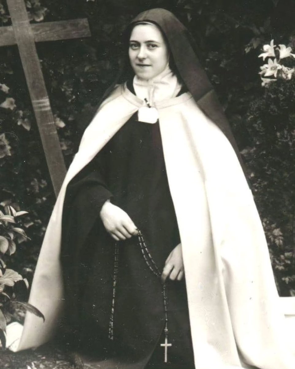 ✨️ « Lorsque la foi chrétienne aura achevé de s’éteindre dans les cœurs… alors l’activité humaine n’aura plus qu’un seul but : la puissance de l’État, et un seul moteur : l’OR. » — Chanoine Charles Arminjon (1824-1885)

Prêtre savoyard au verbe de feu, auteur d’une œuvre