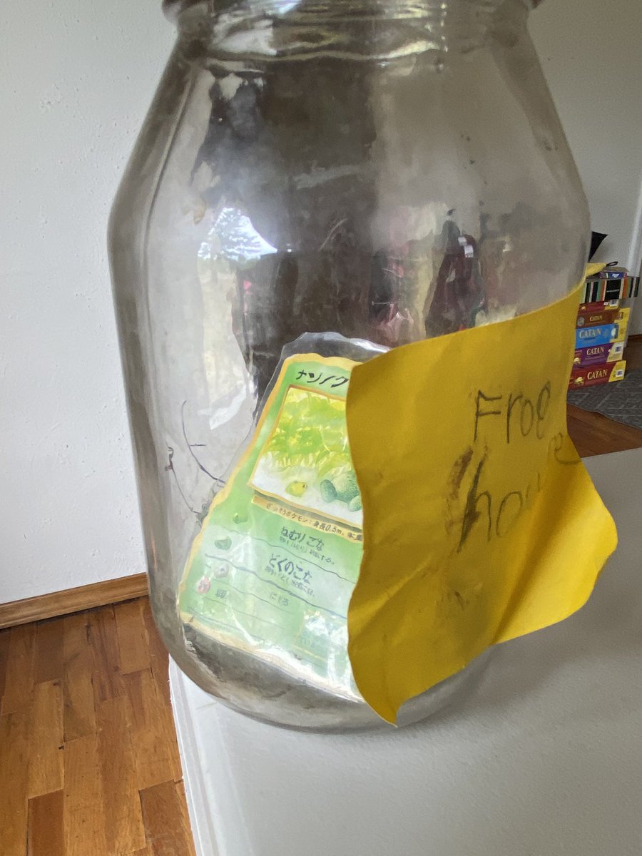 PokePocketCards's tweet photo. @ThatNerdMert We keep our pet frog in a jar with a few leaves 🍃 and a stick…
As is tradition. https://t.co/CsL8sM1yAa