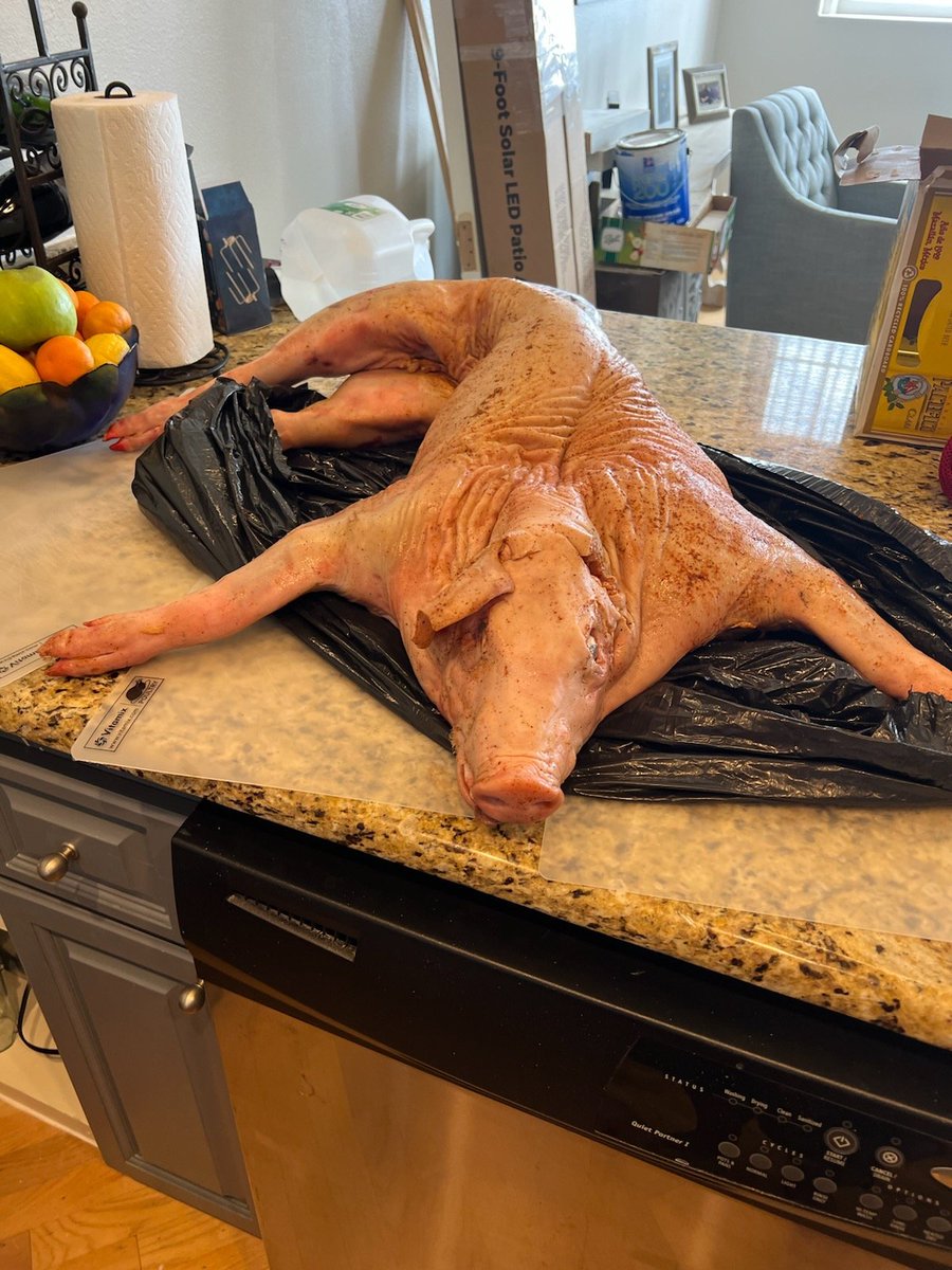 You wanna go?! Let's go #mf!