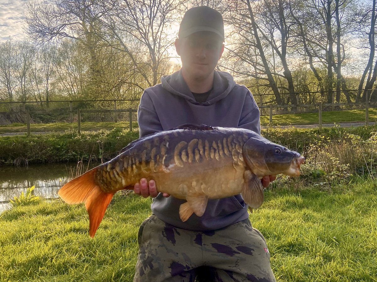 jph_carping's tweet photo. 🎣👌🏻 #carpfishing #carp #fishing https://t.co/bpWkhsLTga