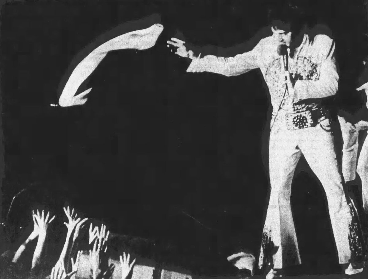 Daily Elvis tweet media