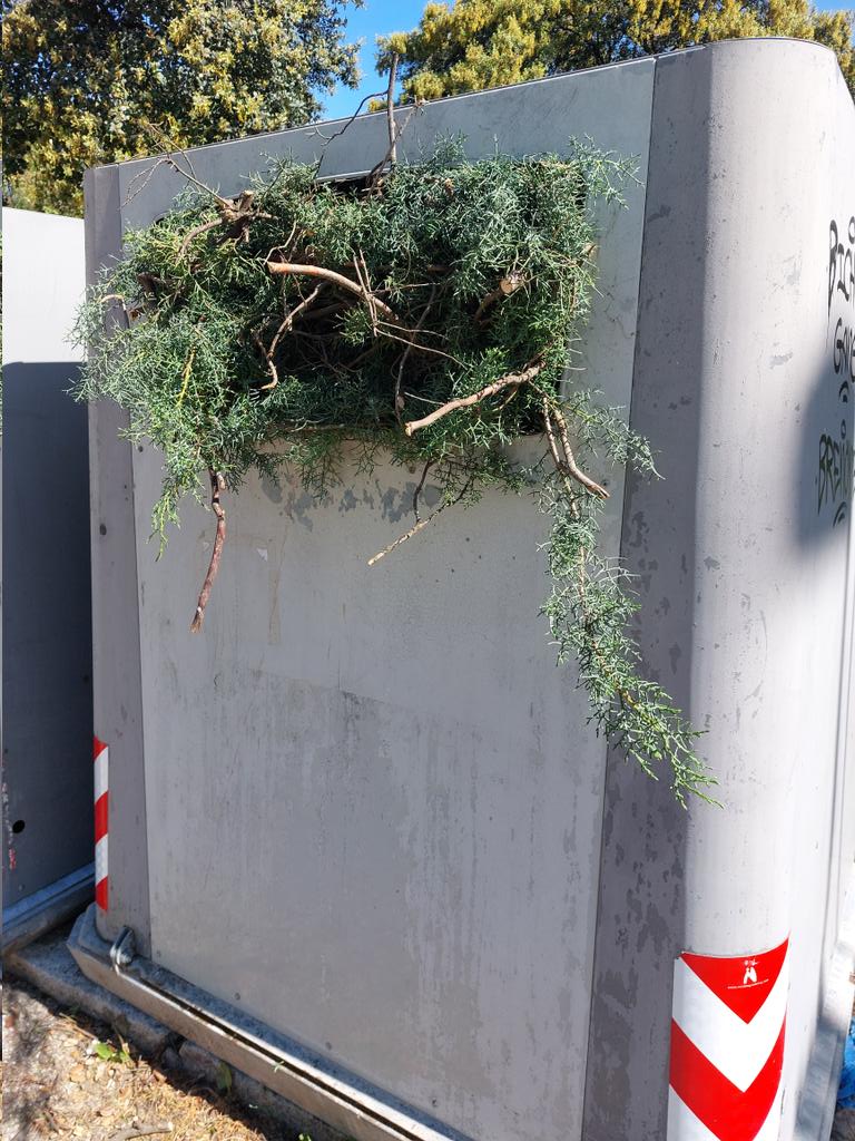 Hace 30 años que #Moralzarzal necesita un servicio de recogida de residuos vegetales a domicilio. Seguimos en pañales. 30 años de lamentable gestión de residuos, de servicios y de costes. Y cada año a peor y más caro. Toneladas colmatando vertedero a precio de oro. Qué atraso.