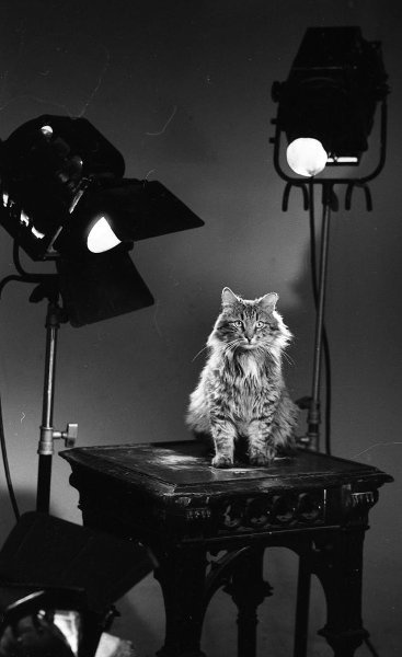 Photo by Igor Gnevashev (1980s)