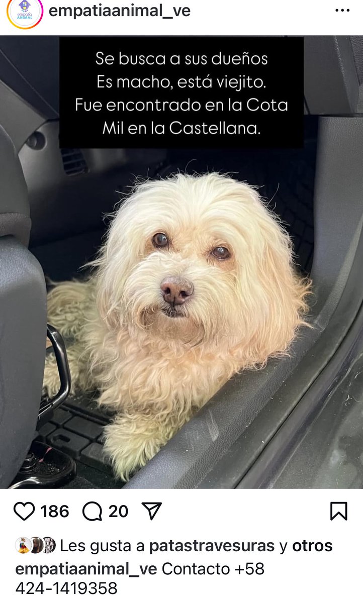 Rescata (@carmenzr04) on Twitter photo 