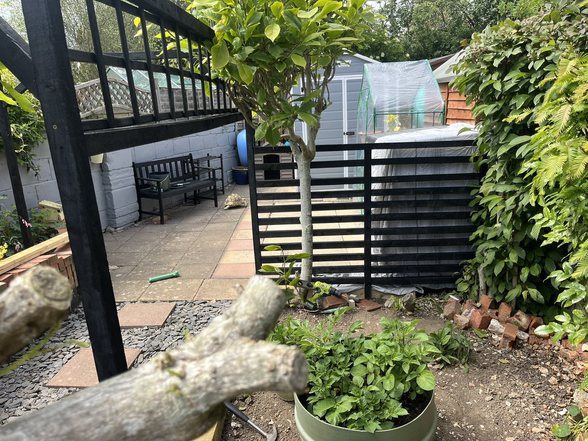 SamElliott89's tweet photo. A few upgrades I done last weekend to the wildlife garden…. Keys in the preparation I guess https://t.co/pXLXPSJTTP