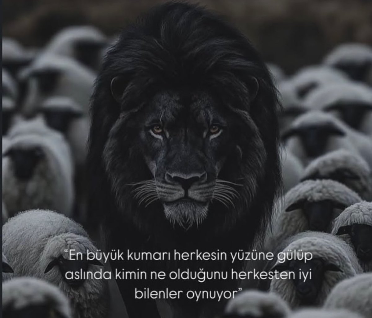 asirihaklii's tweet photo. “ en büyük kumarı herkesin yüzüne gülüp aslında kimin ne olduğunu herkesten iyi bilenler oynuyor.” https://t.co/ACwh9EQd1o