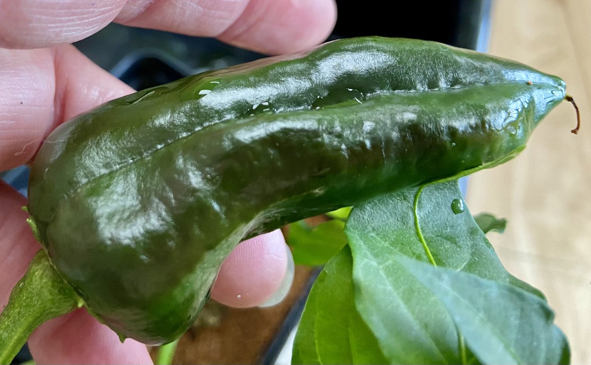 Jill Weaver tweet media