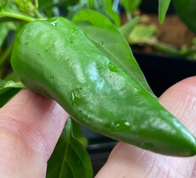 Jill Weaver tweet media