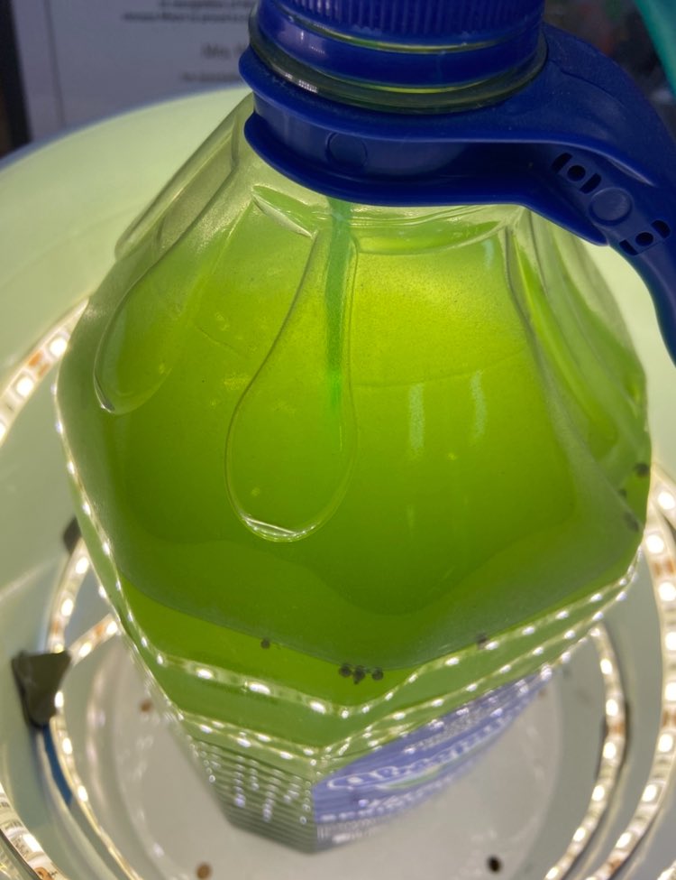 Jill Weaver tweet media