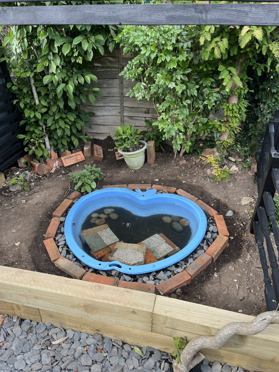 SamElliott89's tweet photo. And today’s work.

Working on a tadpole pond 🐸 https://t.co/GCTNjhsY4l