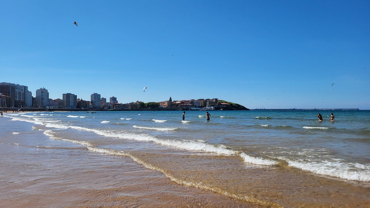SReoyo's tweet photo. Sector Cadete Masculino en Gijón.  Muy bien acompañada. Con estos compañeros de viaje da gusto trabajar. Tiempo de trabajo y tiempo de relax. #Ilovehandball https://t.co/8fgWwqsjzz