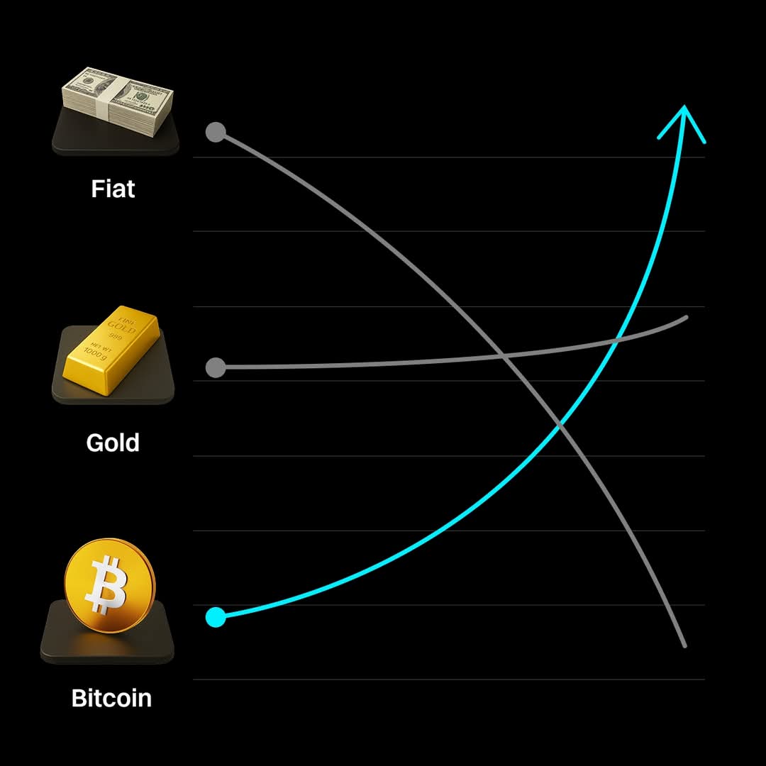 Fiat has no bottom. Gold is boring. Bitcoin has no top.