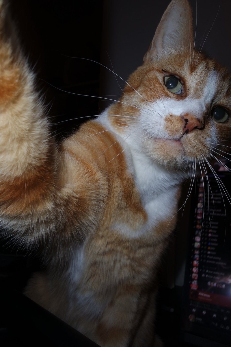 moobiful's tweet image. 