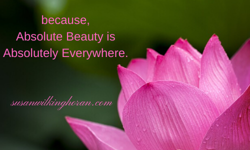 #SundayThoughts ~ Adding a little #inspiration to your #Sunday &amp; nothing inspires like #beauty. 😊 #SundayMotivation #sundayvibes #WeekendMood #WeekendVibes #wellbeing #nature #MentalHealth #writerscommunity #AuthorsOfTwitter #Writers