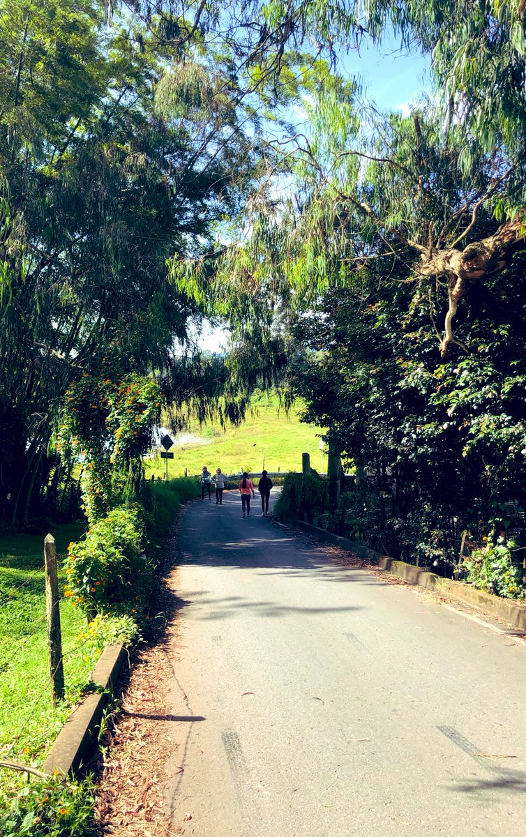 Disfruto tanto caminando por acá 🥺