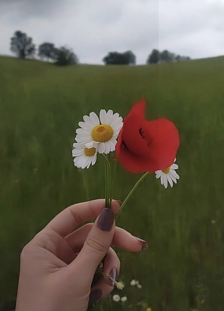 Es gibt wirklich schöne Menschen und damit meine ich nicht ihr äußeres..❤️