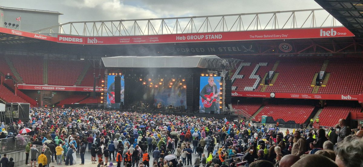 A bit of Lightning Seeds