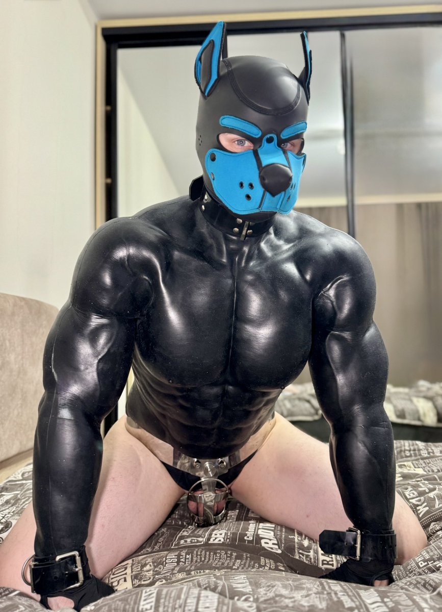 πΎ πππ© π‘π¦π‘ πΎ MlatexM (@mlatexm) on Twitter photo Pup knows his place. Behaved. <a href="/Behindbarzbelts/">Behind Barz</a> keeps this good boy in line. #Behindbarzbelts #smitizen #kbboy #pupLich #mlatexm Pup knows his place. Behaved. <a href="/Behindbarzbelts/">Behind Barz</a> keeps this good boy in line. #Behindbarzbelts #smitizen #kbboy #pupLich #mlatexm