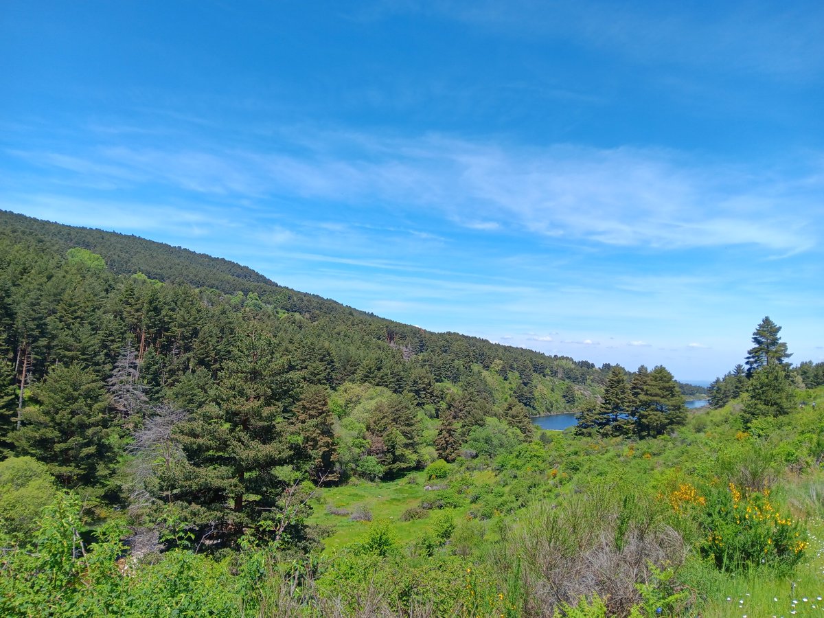 agodriozola's tweet photo. Desde el puerto de #Navafria a #Gallegos 🌿🌿🌿

#Segovia #SierraDeGuadarrama #cyl #cylesvida https://t.co/EiASQO6n15