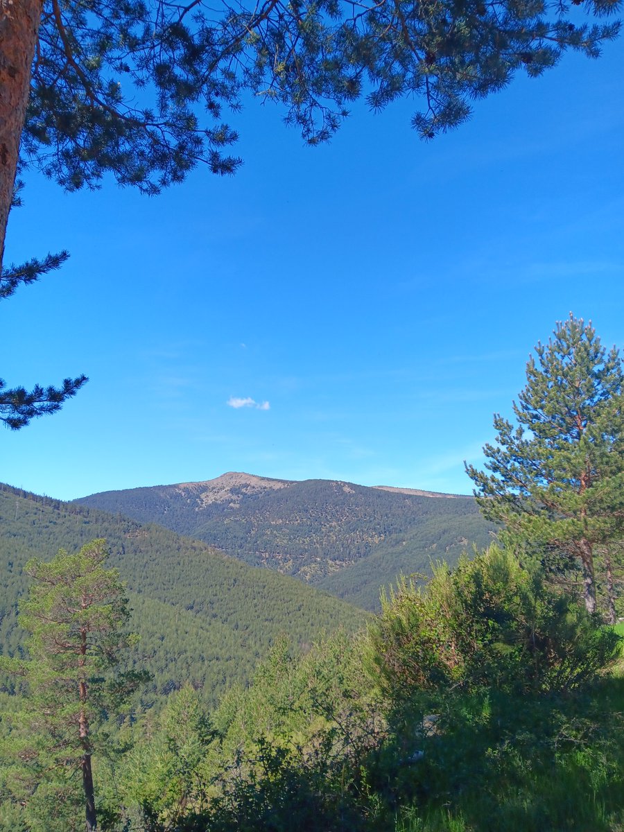 agodriozola's tweet photo. Desde el puerto de #Navafria a #Gallegos 🌿🌿🌿

#Segovia #SierraDeGuadarrama #cyl #cylesvida https://t.co/EiASQO6n15