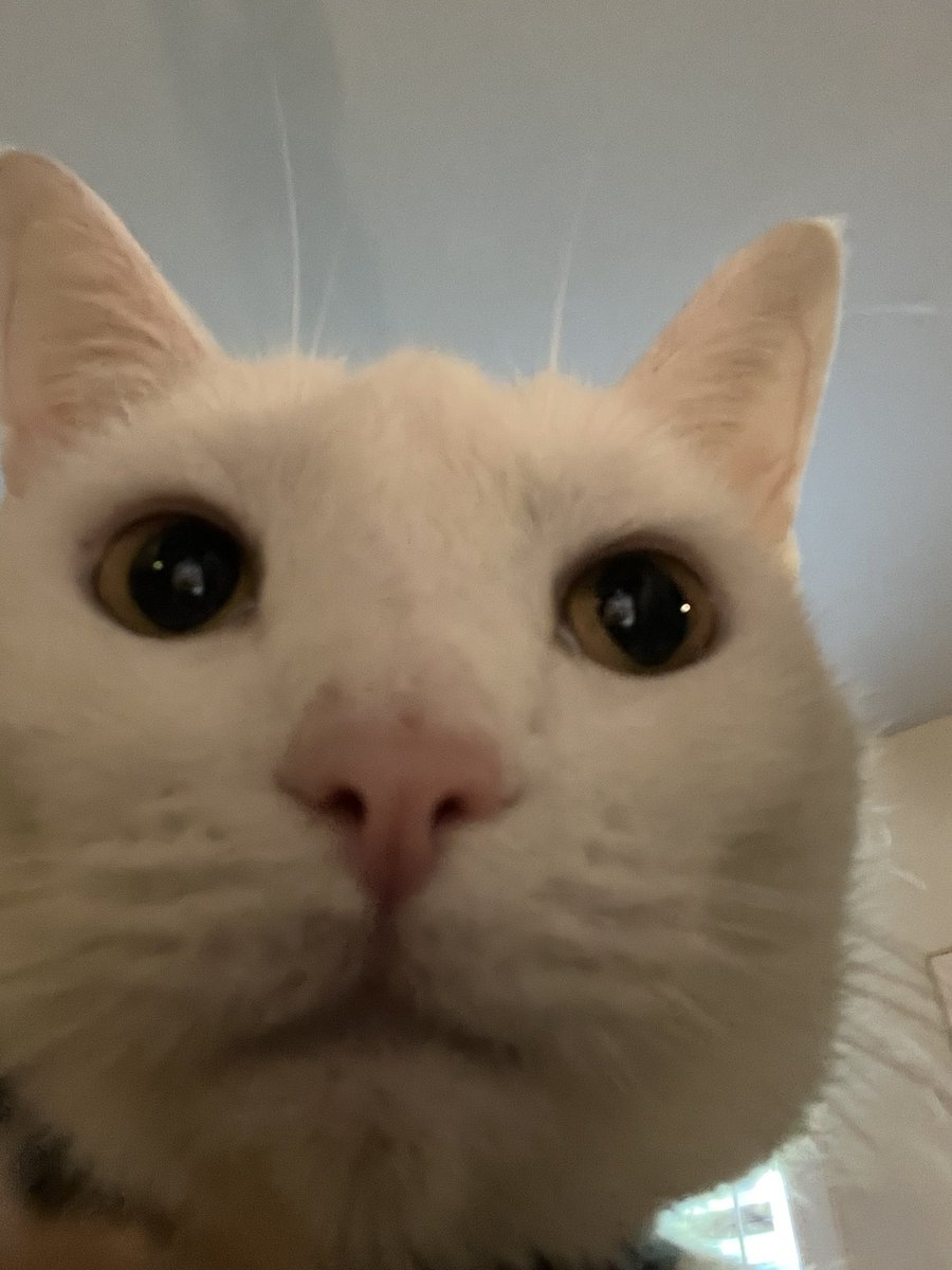 AI could never generate a guy this handsome