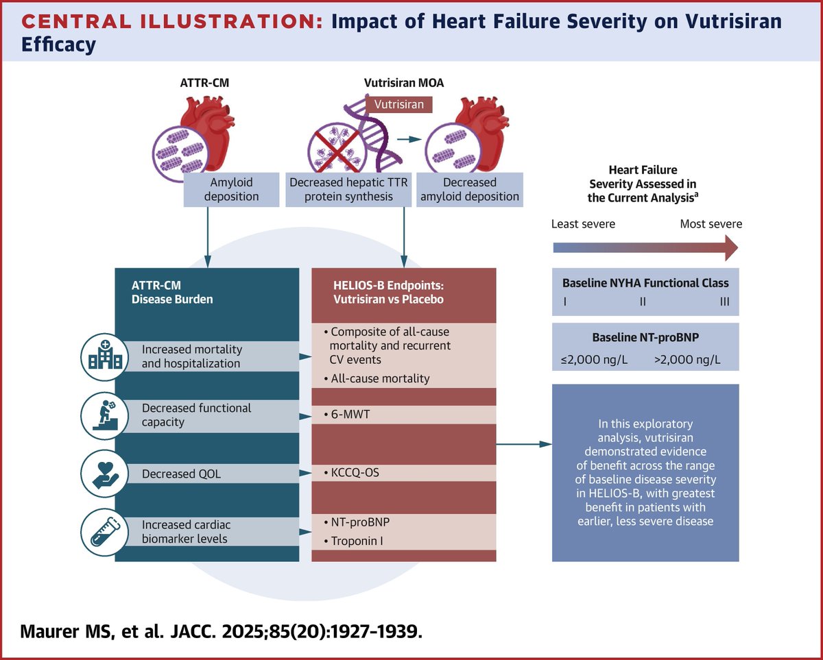 JACC Journals (@jaccjournals) on Twitter photo 📉 Earlier is better: Vutrisiran works across ATTR-CM stages, but the biggest survival gains come in early disease. Time is myocardium. jacc.org/doi/10.1016/j.…
#JACC #HELIOSB #ATTRCM #Vutrisiran #Amyloidosis <a href="/MathewMaurer/">mathew.maurer</a> <a href="/Ron_Witteles/">Ronald Witteles</a> 📉 Earlier is better: Vutrisiran works across ATTR-CM stages, but the biggest survival gains come in early disease. Time is myocardium. jacc.org/doi/10.1016/j.…
#JACC #HELIOSB #ATTRCM #Vutrisiran #Amyloidosis <a href="/MathewMaurer/">mathew.maurer</a> <a href="/Ron_Witteles/">Ronald Witteles</a>