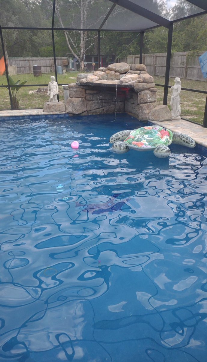 Gm $inner fam, go touch some grass er some water. This will be here when you get back 💪🏻😈