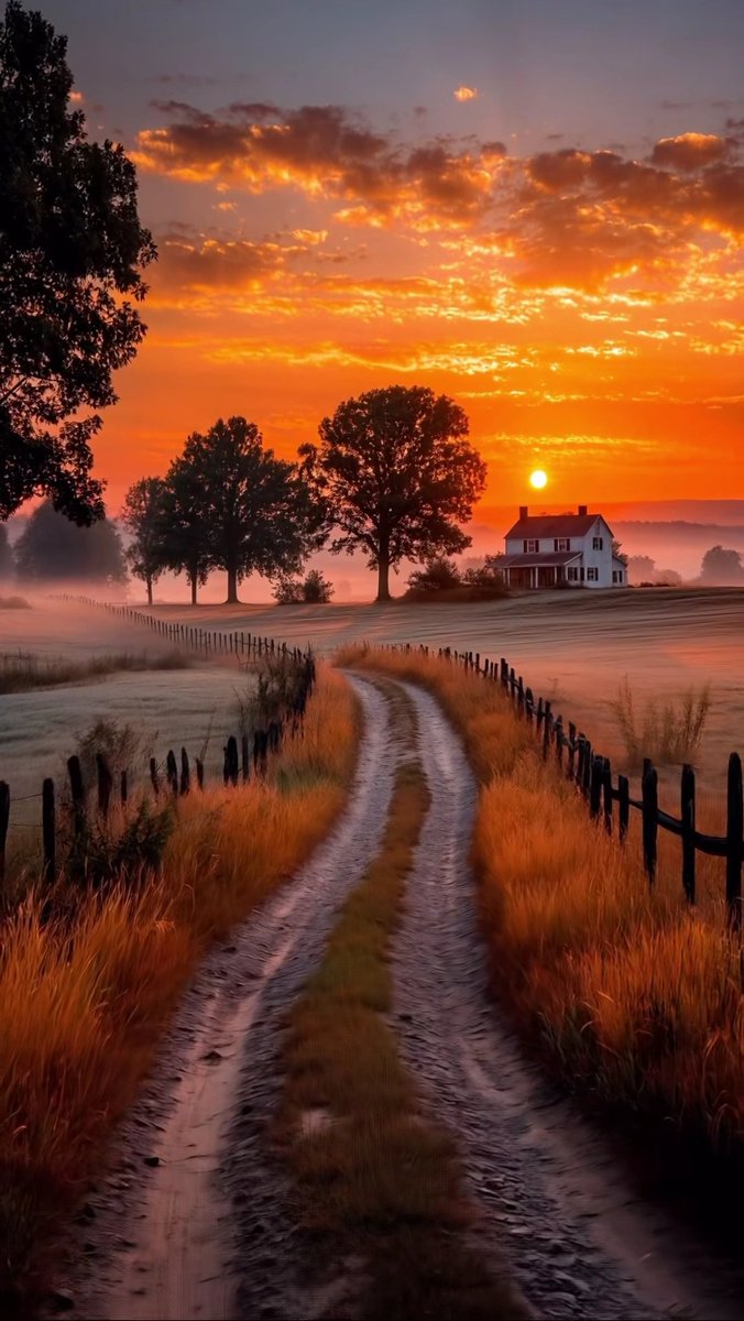 💛🧡✨️Good Evening ✨️💛🧡

The sunset is here to remind you that after darkness, light always returns.