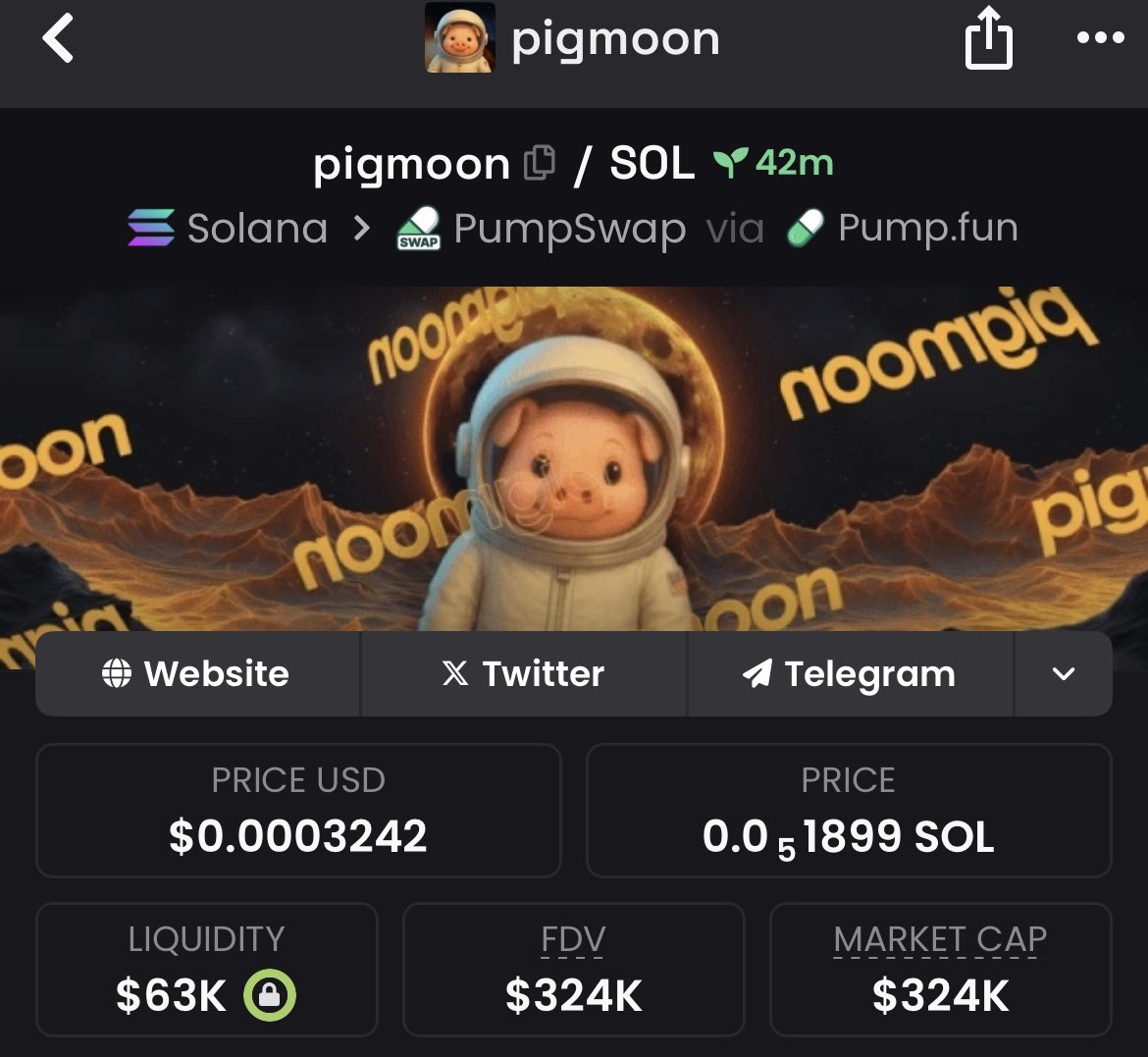 cryptofoxx3's tweet photo. 3x up from my call on #pigmoon via my private TG 🚀
$324k➡️$1m Mcap 📈
Ca: 8p5o317SNt99MGZSk9YgvkhFVthGg3aQePCePJZApump
Send a DM to join my private TG 📥
#memecoin #solana #bitcoin https://t.co/fWbNZcwxYR