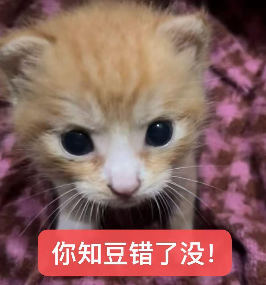 Pyjcyk's tweet photo. 好烦！ https://t.co/EmRPbCJM45