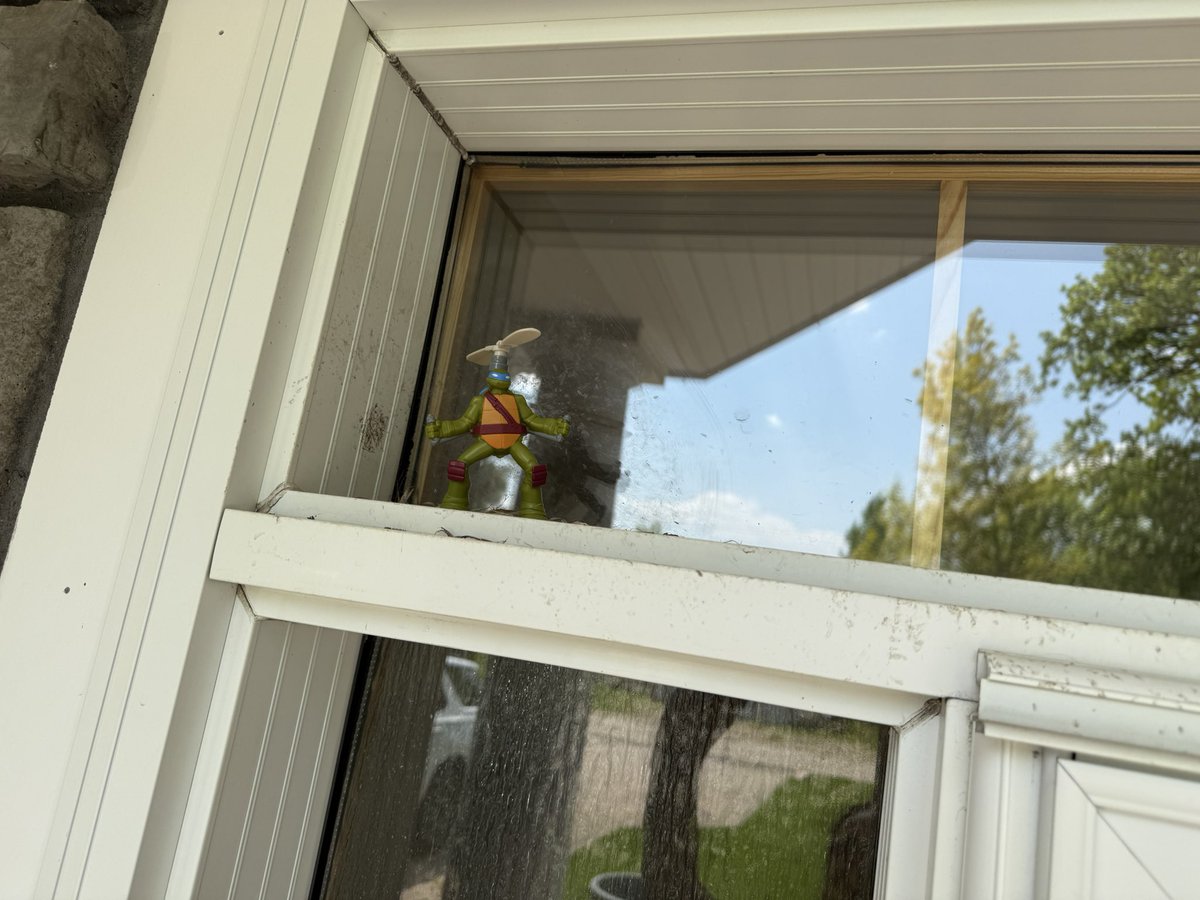 I’ll report back if the ninja turtles my dad put above the front door keeps the robin and robin nest away! #turtlesinahalfshell #turtlepower