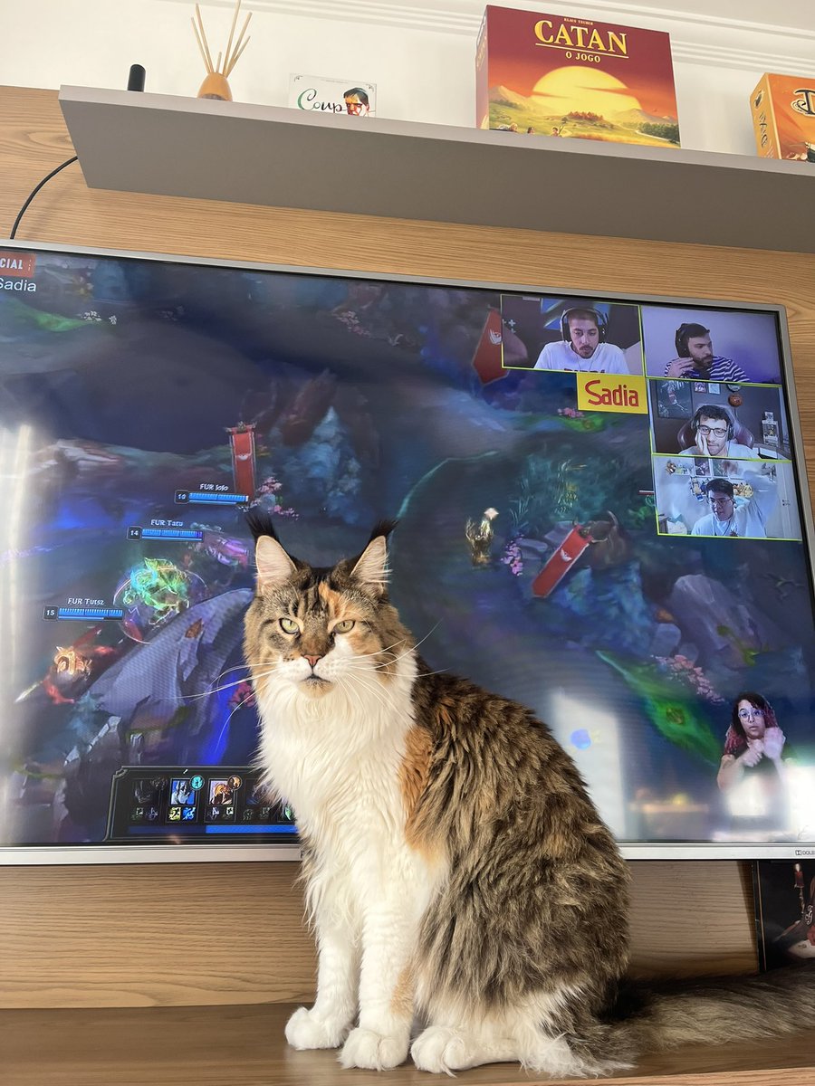 BeatsG_'s tweet photo. Aqui temos uma gata maravilhosa assistindo junto @esACarry @ilhadaslendas @GustavoMinerva @baianolol1  #seugamepedesadia #ilhadaslendas #ltasul https://t.co/L3kLnohlwV